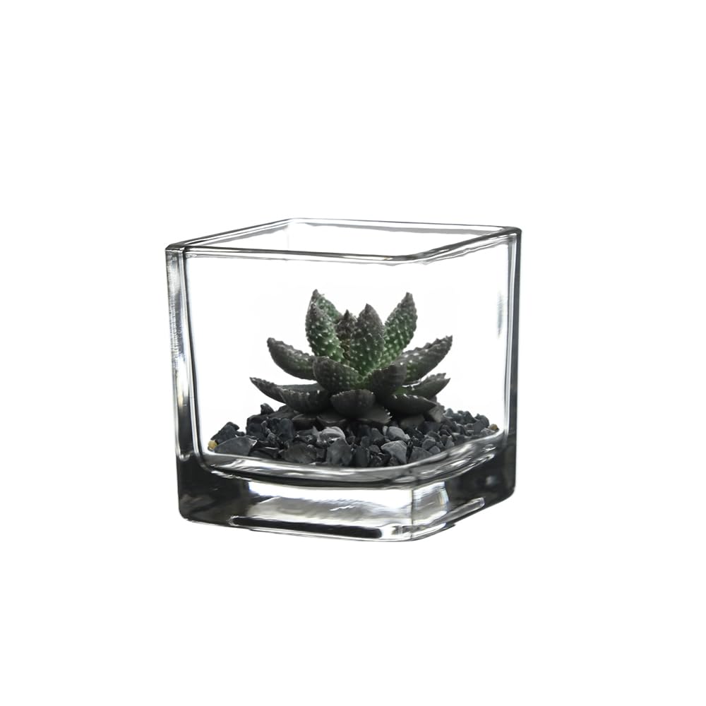 WGV 2 Inch Tea Light Votive Candle Holder, Clear, Square Cube 2”x2”, Small Tiny, Home Décor, Table Top, 1 Pc