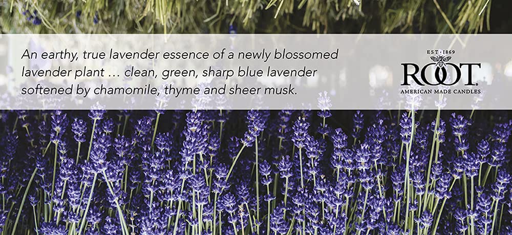 Root Candles Scented Candles Honeycomb Veriglass Premium Handcrafted Beeswax Blend Candle, Large, English Lavender