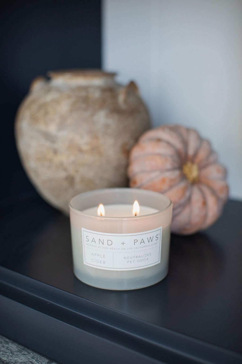 Sand + Paws Scented Candle - Apple Cider - Additional Scents and Sizes –Luxurious Air Freshening Jar Candles Neutralize pet Odors and Enhance Home décor – 100% Cotton Lead-Free Wicks - 12 oz
