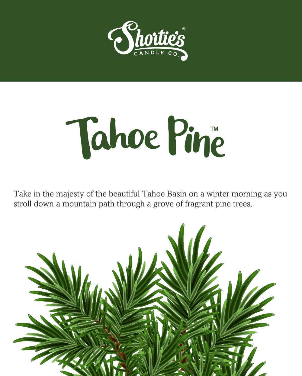 Shortie's Candle Company Tahoe Pine Premium Wax Melts 4 Pack - 12 Oz., Strong & Long Lasting, Non-Toxic - Made with Essential & Natural Oils - Formula 117