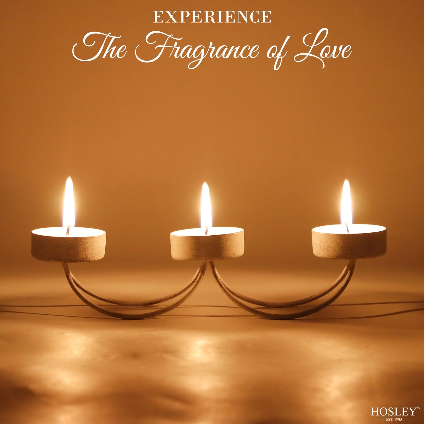 Hosley Bulk Buy Set of 6 Metal Tea Light Candle Holders for Home Decor, Lighting, Wedding, Parties, Gifting, LED Tea Light Gardens