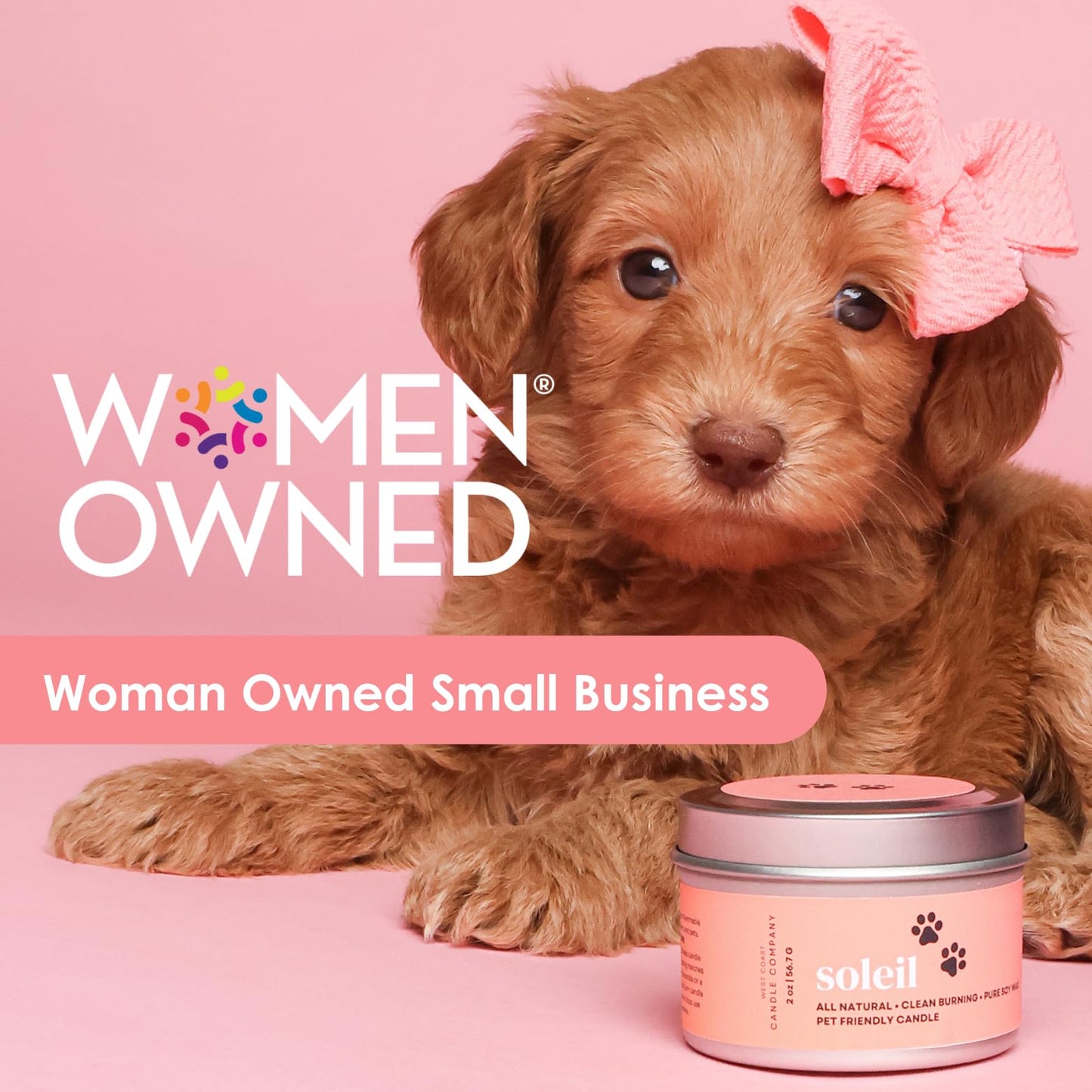 Pet Safe Candle for Dogs | Non Toxic Coconut Apricot Wax Candle | Clean Burning, Paraffin-Free | Pet Odor Eliminating Home Fragrance | Harvest Howls | 4 oz