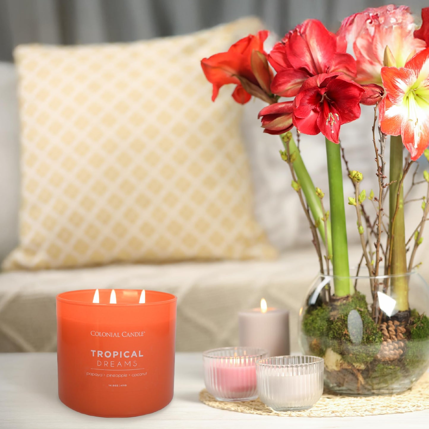 Colonial Candle Tropical Dreams Scented Jar Candle, Pop of Color Collection, 3 Wick, 14.5 oz - Up to 60 Hours Burn
