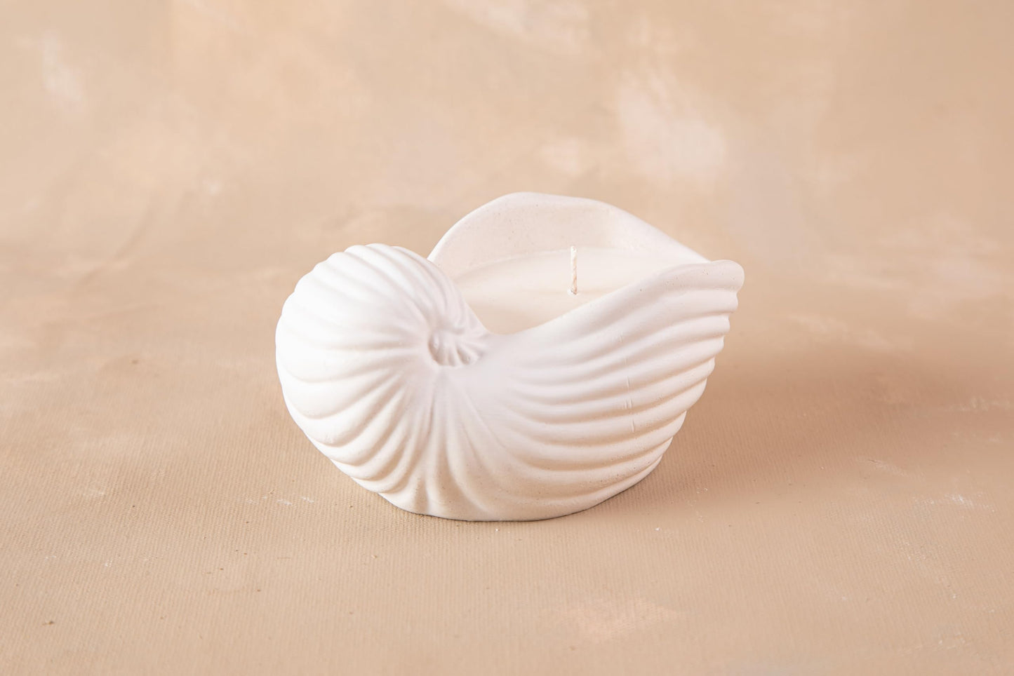 Gladsome® Concrete Sea Shell Jar Candle | Velvet Rose Aroma | 12+Hours Burn Time | Perfect for Home Decor & Gifting (J)