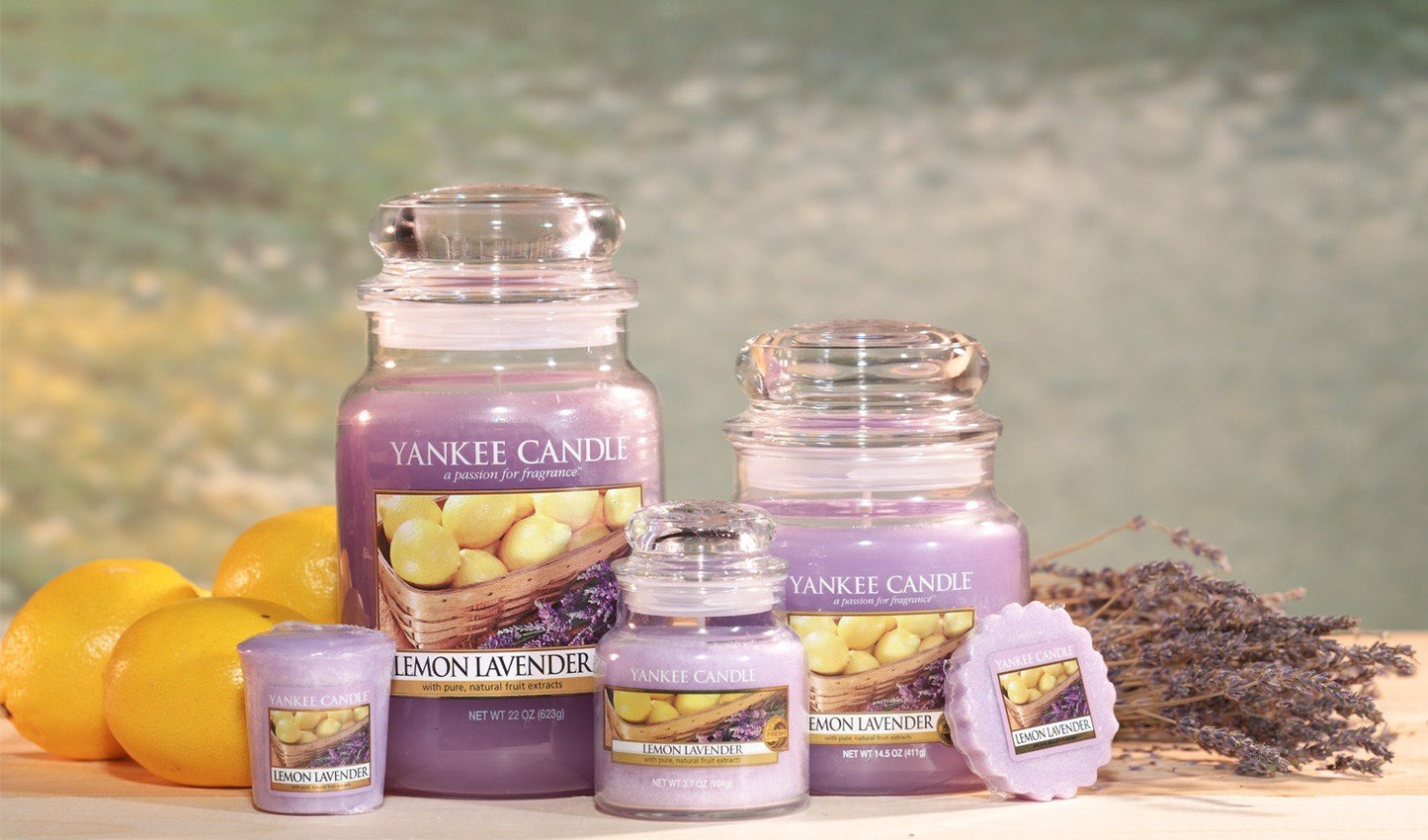 Yankee Candle Lemon Lavender Tea Light Candles, Festive Scent | Count 12