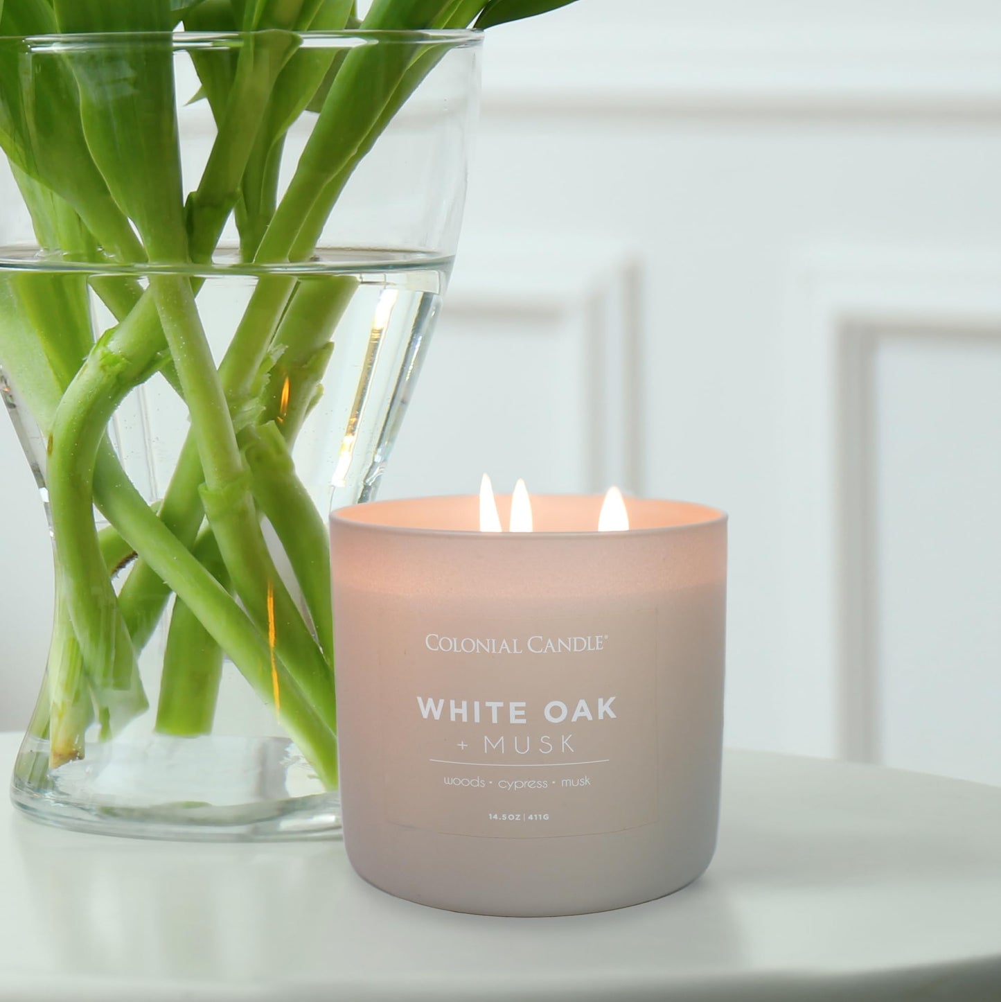 Colonial Candle White Oak & Musk Scented Jar Candle, Pop of Color Collection, 3 Wick, 14.5 oz - Up to 60 Hours Burn