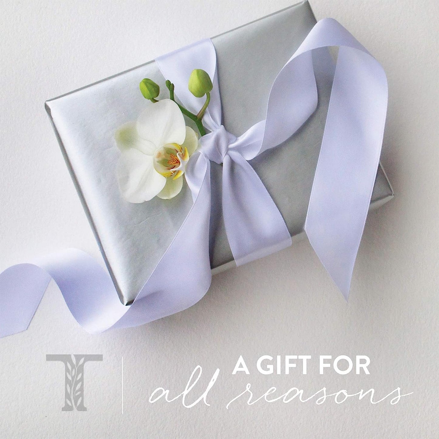 Thymes Aromatic Jar Candle - Eucalyptus Scented Candle for a Fresh Home Fragrance - Luxury Aromatherapy Candle - Single Wick Glass Candle - Matte White Candles (7.5 oz)