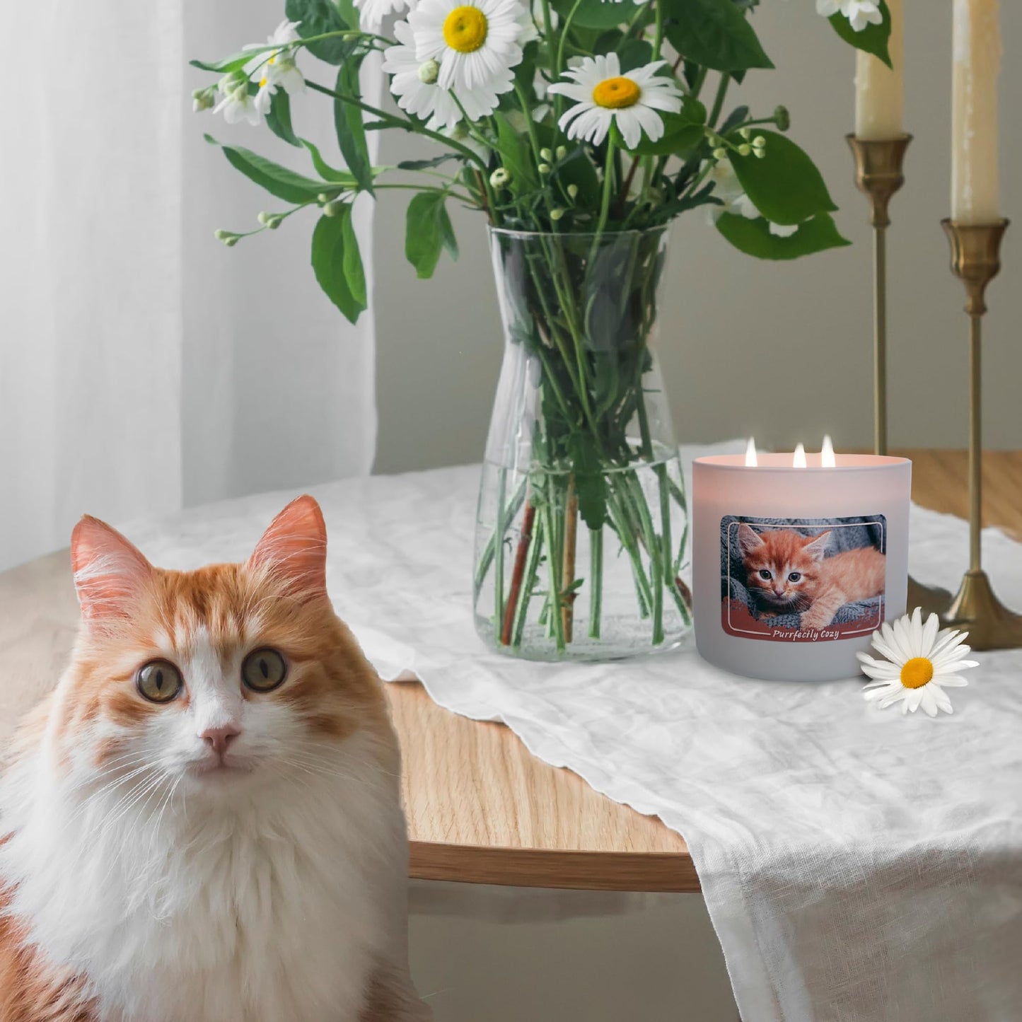 Colonial Candle Purrfectly Cozy Scented Jar Candle, 14 oz - Warm & Comforting Fragrance, Long-Lasting Burn, Made in The USA