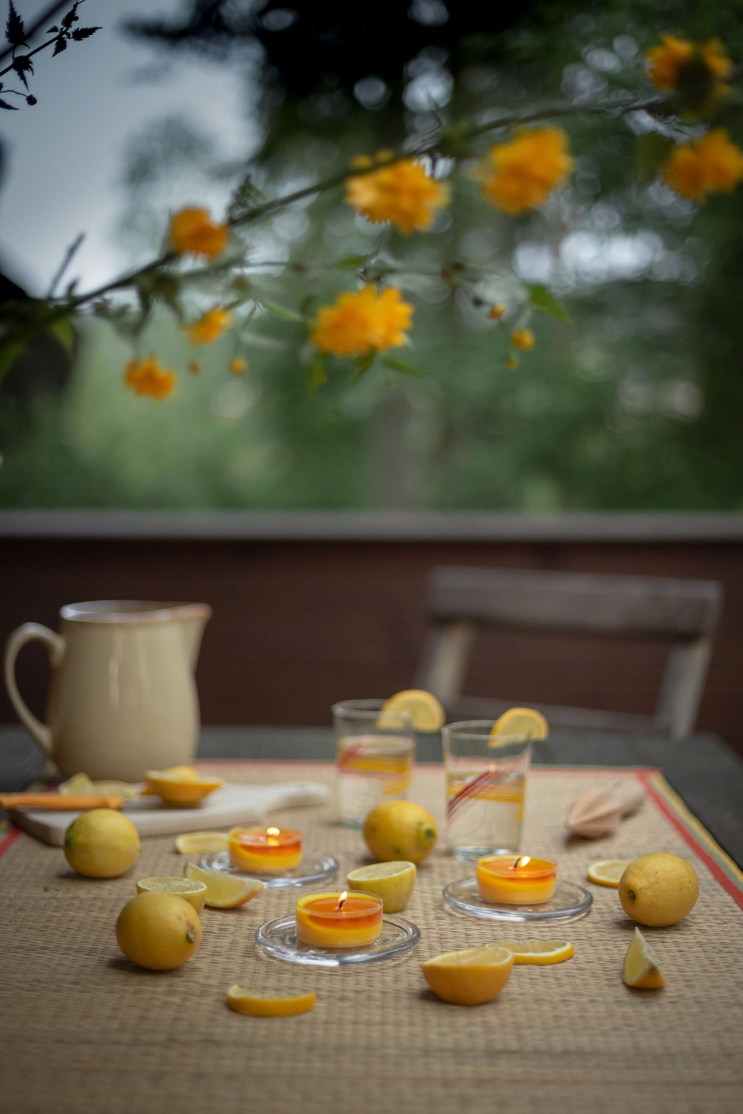 Bolsius True Citronella - Maxi Scented Tea Lights - Citronella - Pack of 8 - Long Burning Time of 8 Hours - Outdoor Candles - Natural Plant Wax - with Natural Extracts - Without Palm Oil