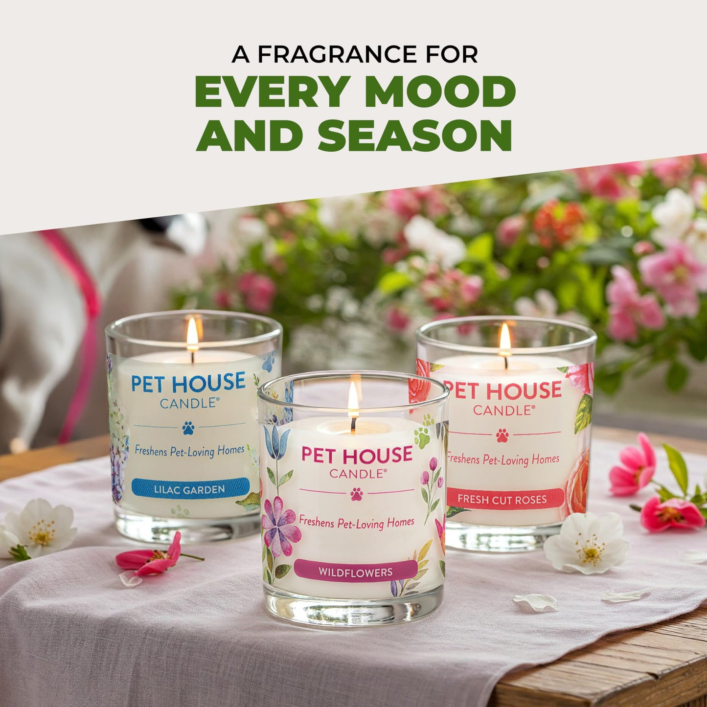 One Fur All Pet House Vanilla Candle Plant-Based/Soy - Clean Burning Scented, Long Lasting Pet Odor Candle for Home - Fresh Citrus