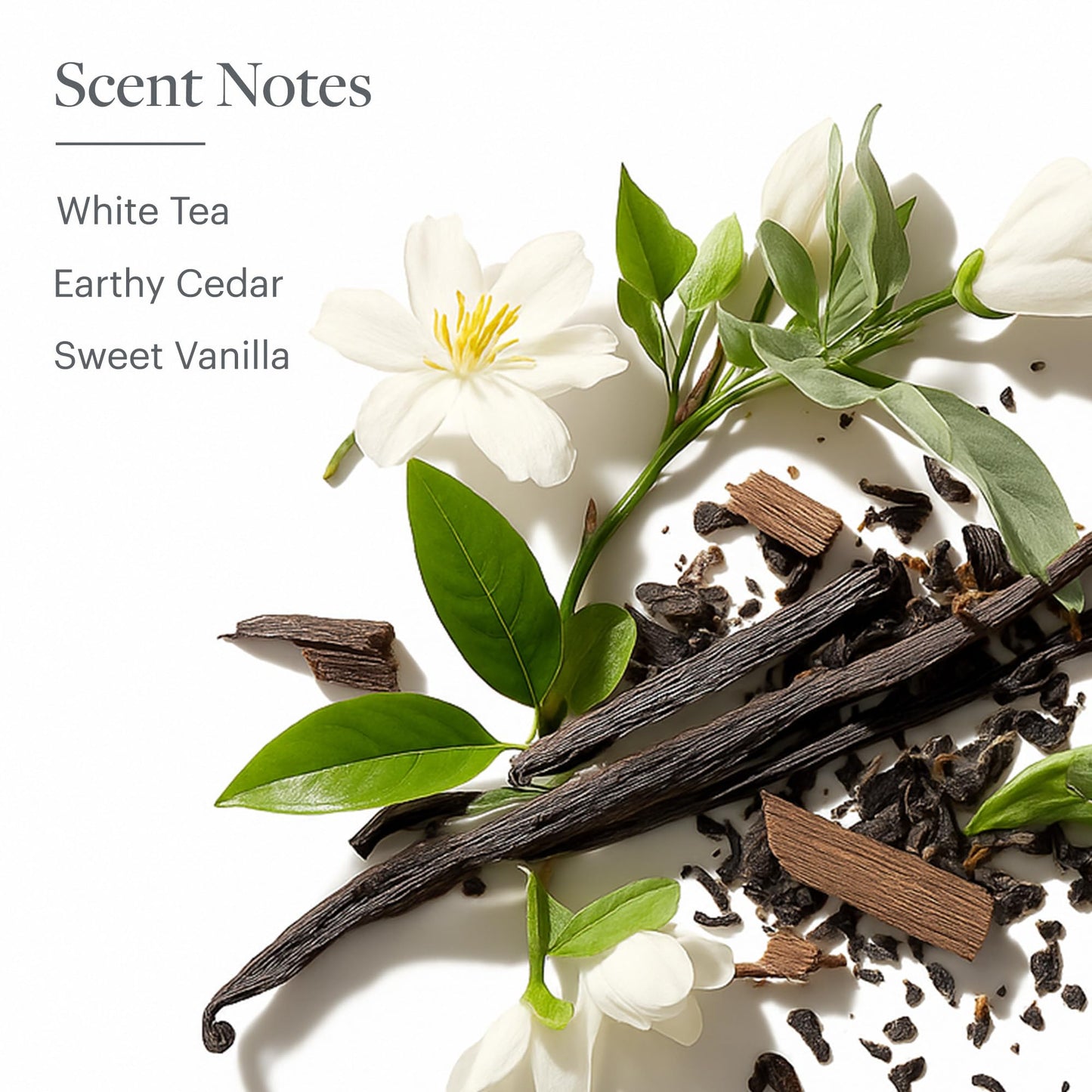 Westin White Tea Candle - Hand-Poured, Soy Candle with Signature White Tea Scent -12.5 oz.