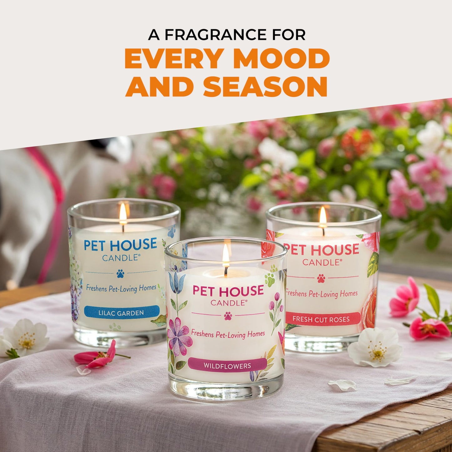 Pet House Candles, Long Lasting, Air Freshening, Pina Colada Scented Candle for Pet Odor, 60 Hour Burn Time 9 OZ