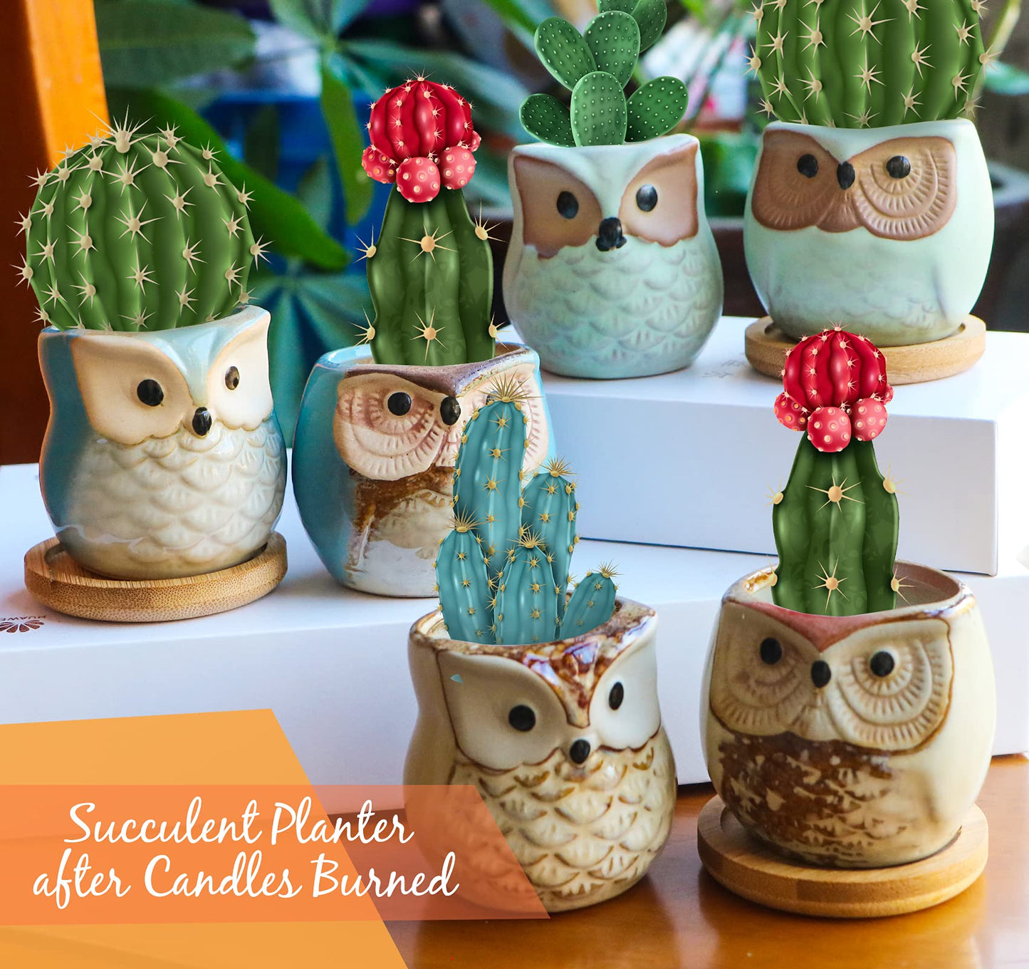 Kinforse Scented Candles Birthday Gifts for Women, Owl Gifts for Women, 6 Pack Novelty Owl Aromatherapy Candle Bulk Gift for Birthday Mother's Thanksgiving