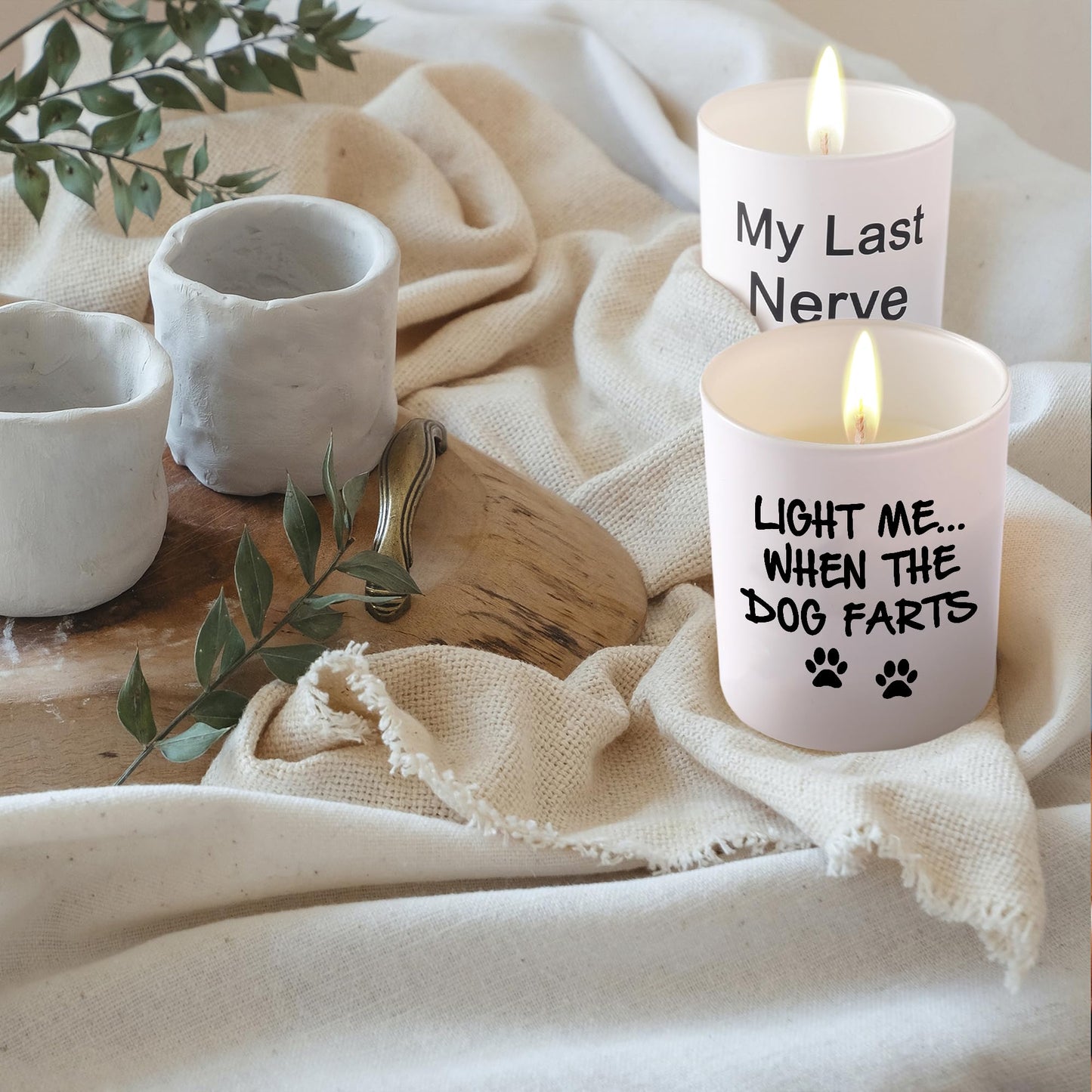 BFJLIFE Funny Gifts for Women Unique Dog Mom Dog Lovers Mothers Day Christmas Birthday Gifts for Girlfriend Sister Bestie Best Friend Her Wife Stocking Stuffers for Women Lavender Scented Soy Candles