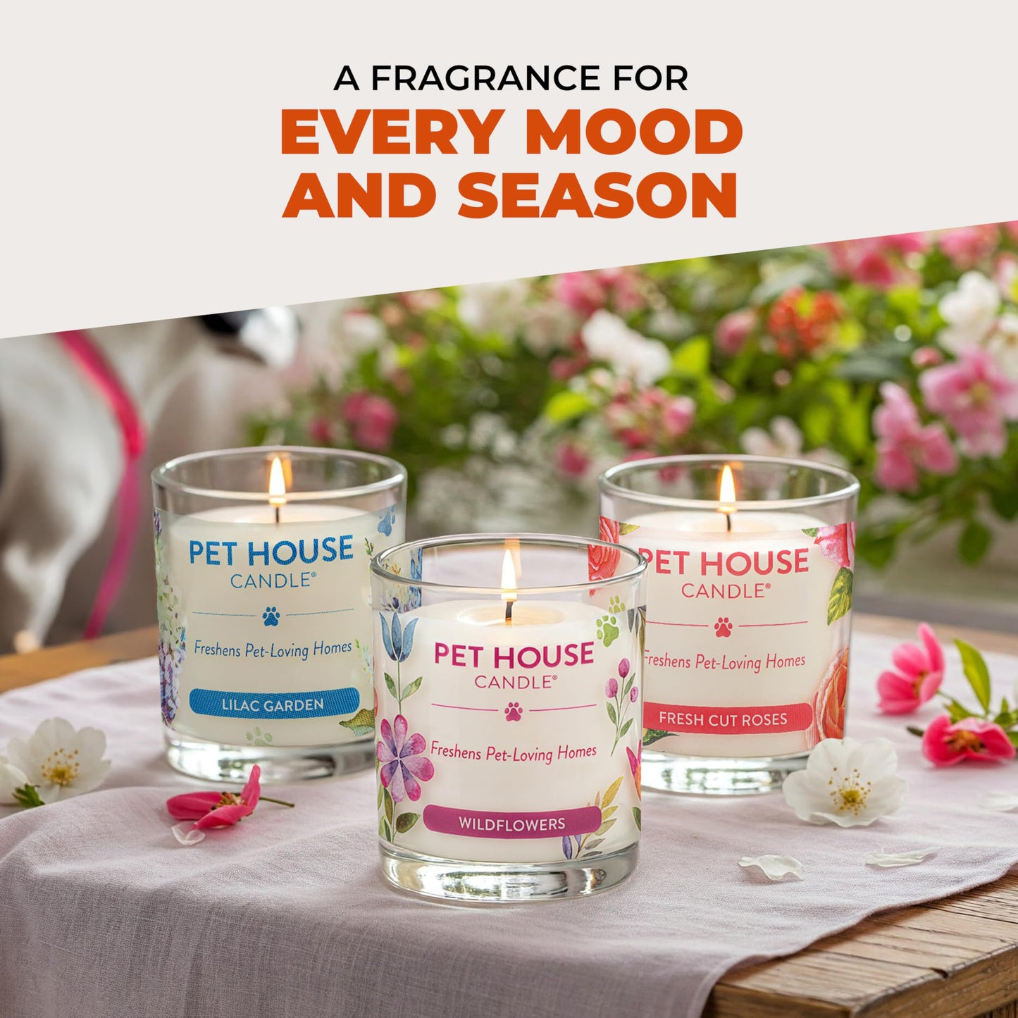One Fur All Pet House Fall Candles, Long Lasting, Clean Burning, Soy Wax Scented Candles for Pet Odor, Apple Cider, 2 Pack