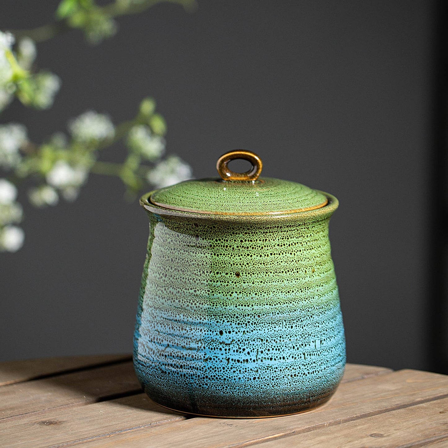 40 OZ Cookie Jar,Dog Treat Jar, Kitchen Canisters for Countertop for Food Storage Coffee, Tea,Flour, Beans, Spices, Nuts and More Ceramic Jar with Lid. (Green and Blue)