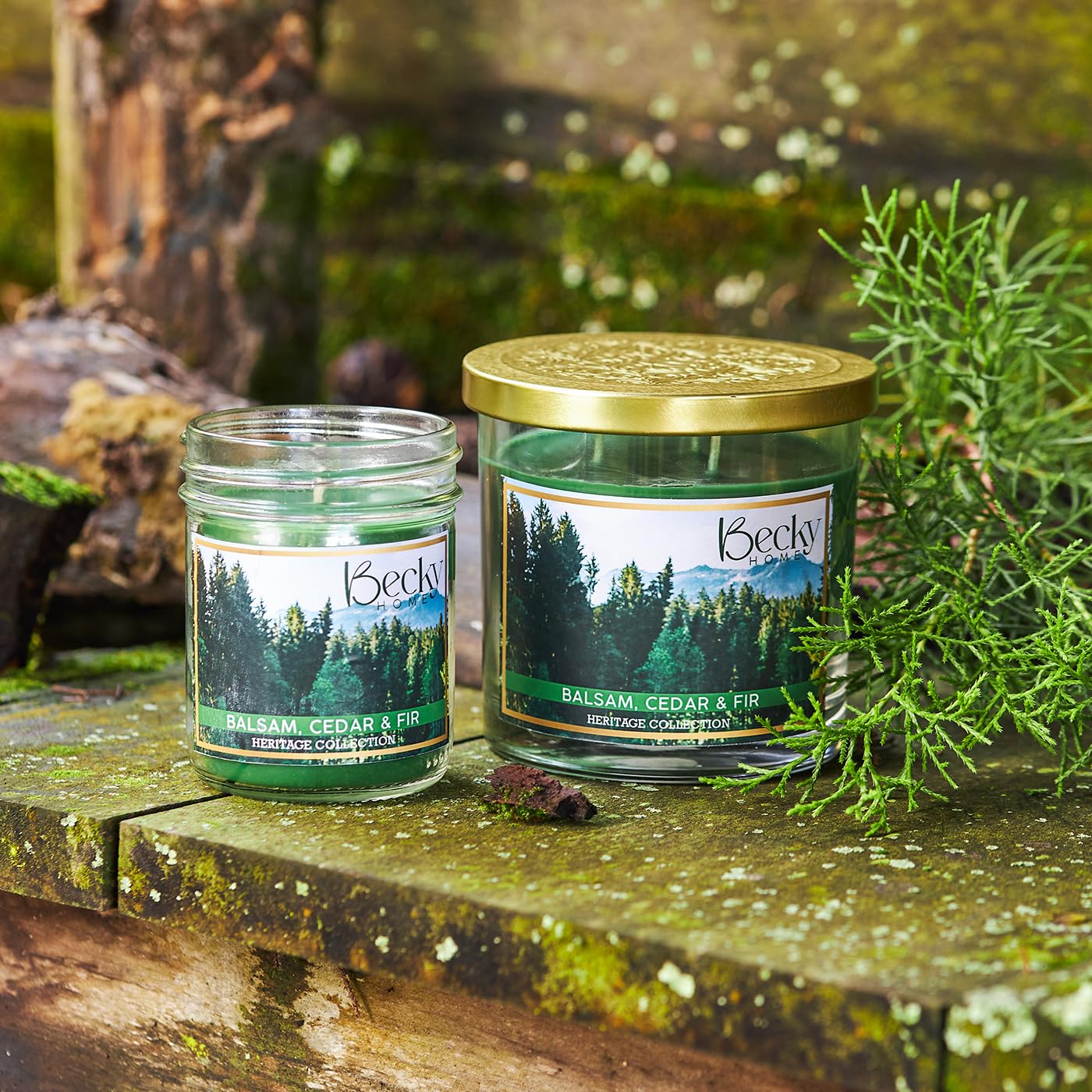 Balsam, Cedar, and Fir, Scented 3-Wick Candle in Glass Jar | Candles for Home | 14.5oz Rustic Home Decor Novelty Candle | 60 Hour Burn Time Candle