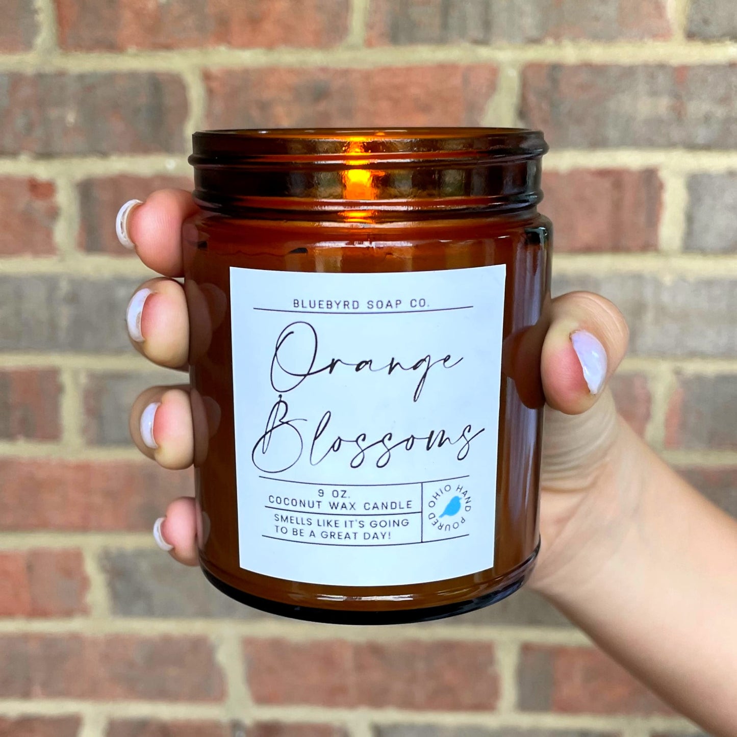 Bluebyrd Chocolate Marshmallow Candle Jar 9oz | Hot Cocoa Scented Candle | Healthy Coconut Wax Hot Chocolate Candle 55+ Hour Burn | USA Made (Hot Cocoa, 9oz)