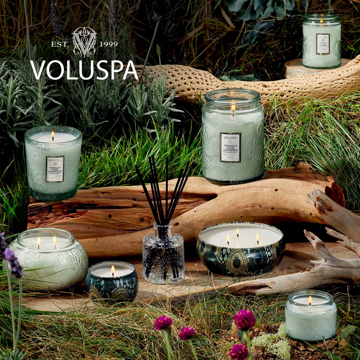 Voluspa French Cade Lavender, 3 Wick Tin Candle, 12 oz, 40 Hour Burn Time, Coconut Wax for Clean Burning, Handcrafted in the USA