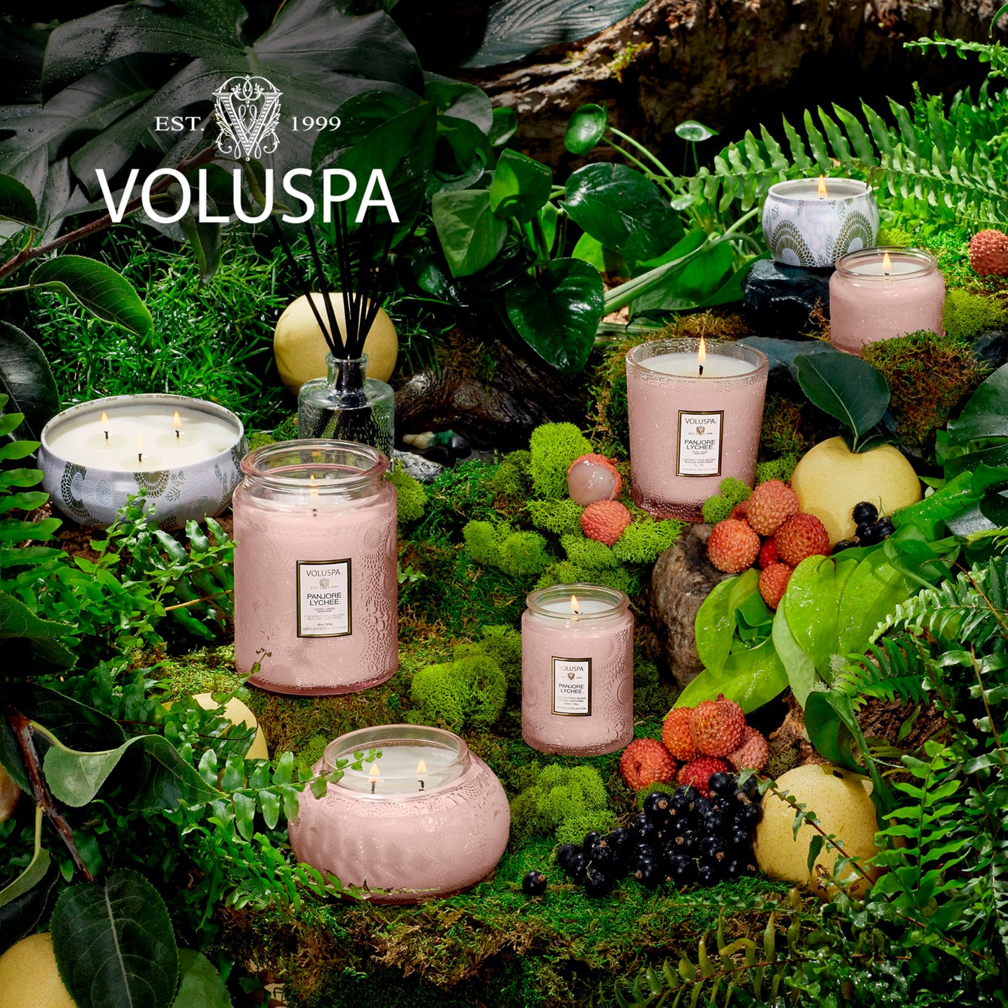 Voluspa Panjore Lychee Petite Tin Candle , 4 Ounces