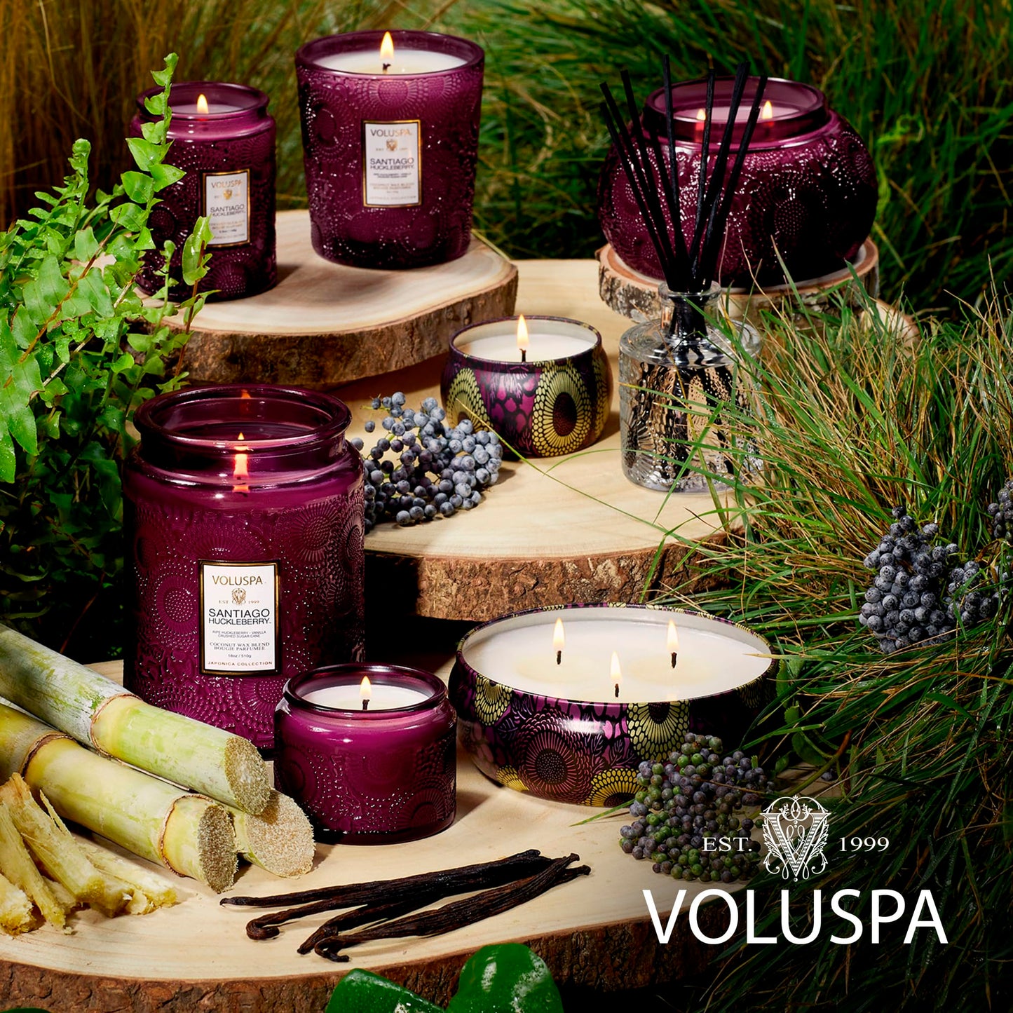 Voluspa Santiago Huckleberry, Large Candle Jar, 18 oz, 100 Hour Burn Time, All Natural Wicks and Coconut Wax for Clean Burning, Vegan, Poured in The USA