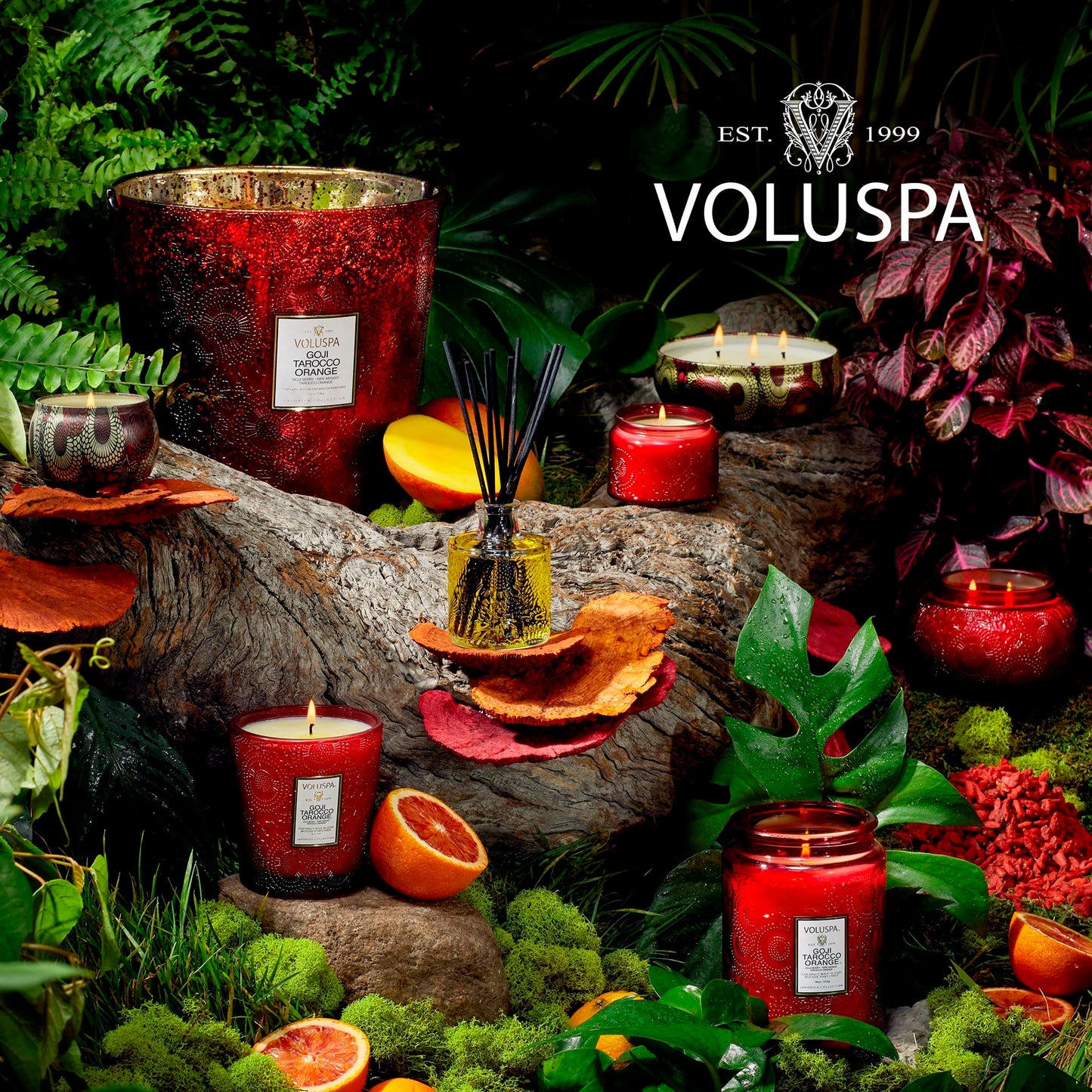 Voluspa Goji Tarocco Orange, Small Candle Jar, 5.5 oz, 50 Hour Burn Time, Coconut Wax for Clean Burning, Handcrafted in the USA