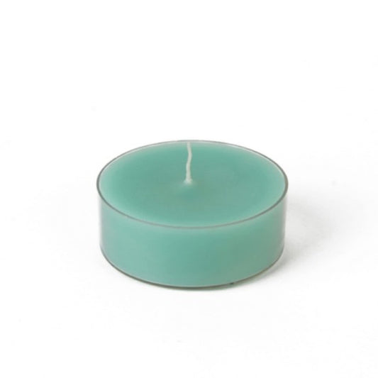 Zest Candle 12-Piece Tealight Candles, Mega Oversized Aqua s