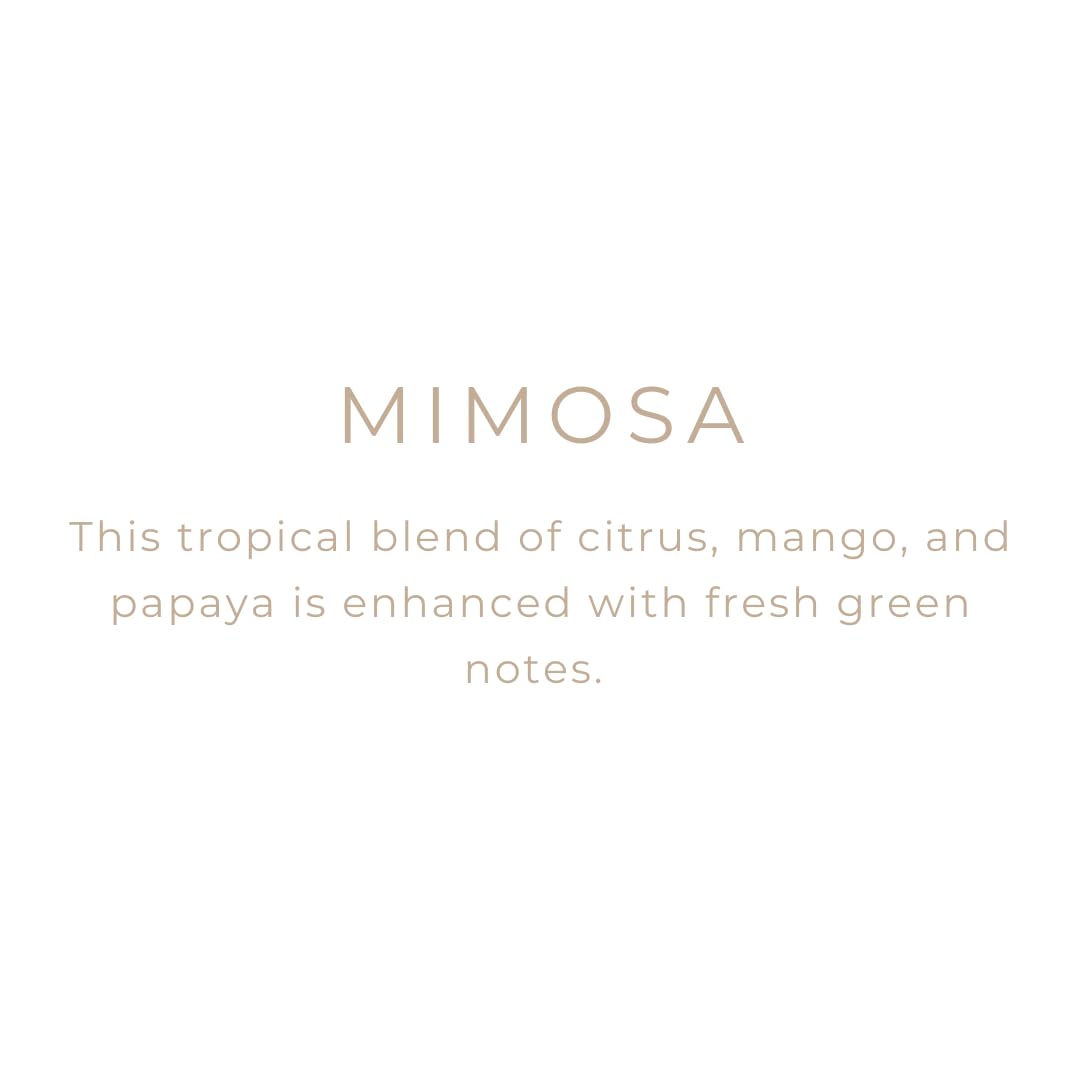 River Birch Candles Mimosa Scented Candle | Premium, All-Natural, Non-Toxic, Soy Candles | 16oz 90 Hr Burn Time | Cozy Relaxing Gifts for Home