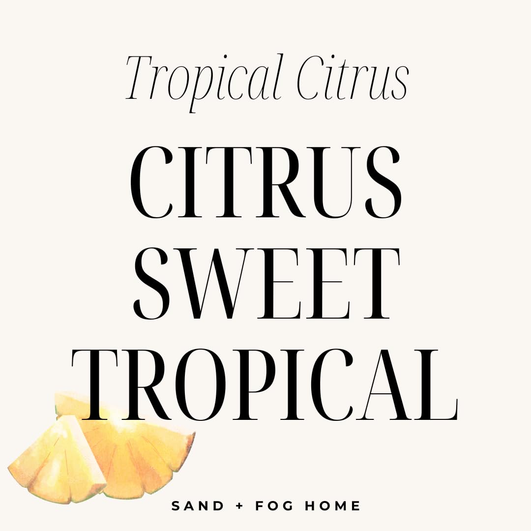 Sand + Paws Scented Candle - Tropical Citrus - Additional Scents and Sizes –Luxurious Air Freshening Jar Candles Neutralize pet Odors and Enhance Home décor – 100% Cotton Lead-Free Wicks - 12 oz