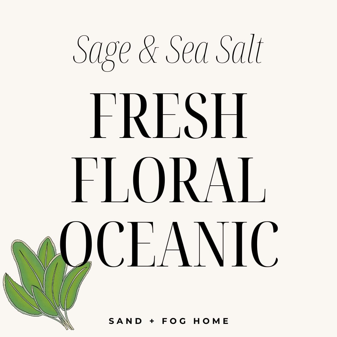 Sand + Fog Scented Candle - Sage & Sea Salt – Additional Scents and Sizes – 100% Cotton Lead-Free Wick - Luxury Air Freshening Jar Candles - Perfect Home Decor – 12oz, Sage Green