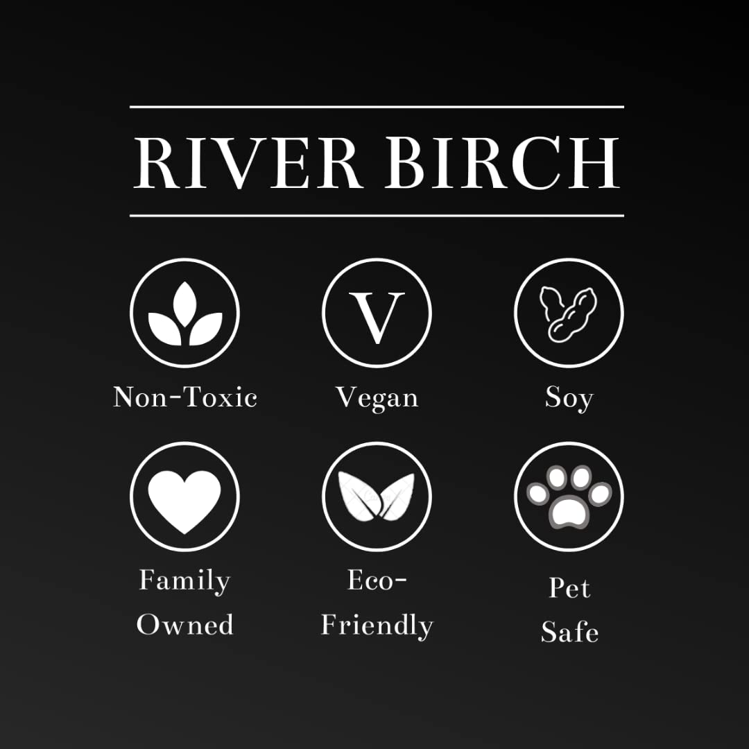 River Birch Candles Mimosa Scented Candle | Premium, All-Natural, Non-Toxic, Soy Candles | 8.5oz 40 Hr Burn Time | Cozy Relaxing Gifts for Home