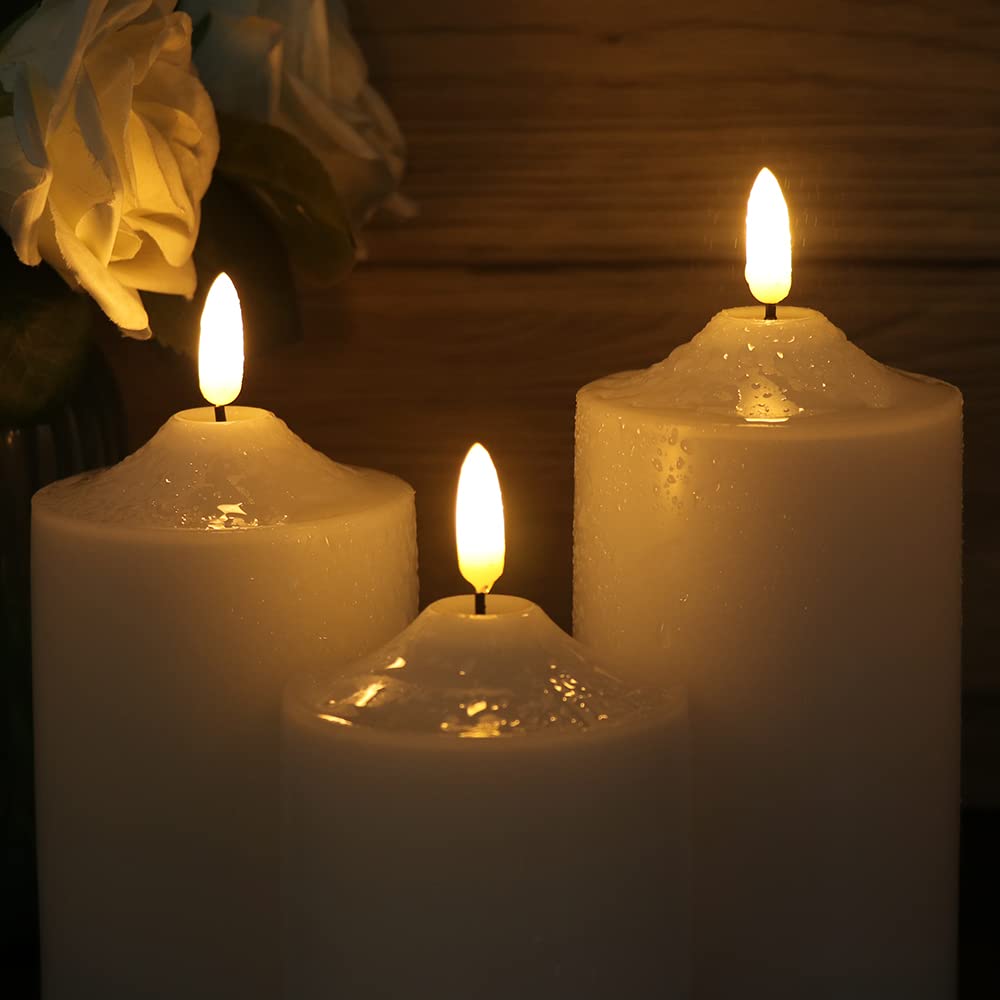 Eldnacele Waterproof Outdoor Flameless Flickering LED Candles with Timer Remote, Battery Operated 3D Wick Plastic Pillar Candles Pack of 3 for Indoor Outdoor Decoration, D3'x H4'x W5'