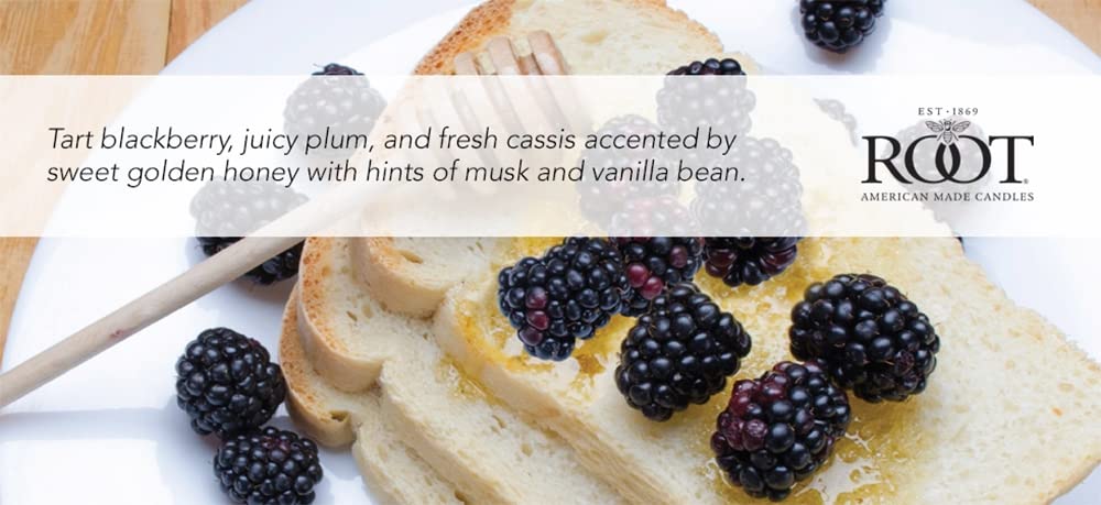 Root Candles Scented Candles Honeycomb Beeswax Blend Premium Handcrafted Candle, Large Veriglass, BlackBerry Honey