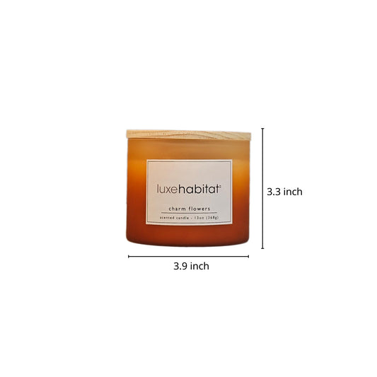 Mosswood Calm Scented Candle 13oz – CW Studio Orange Glass Jar with Wooden Lid & Dual Wicks, 37 Hour Smokeless Burn – Aromatherapy-Ready Décor for Home Yoga & Meditation Spaces – Orange Wax