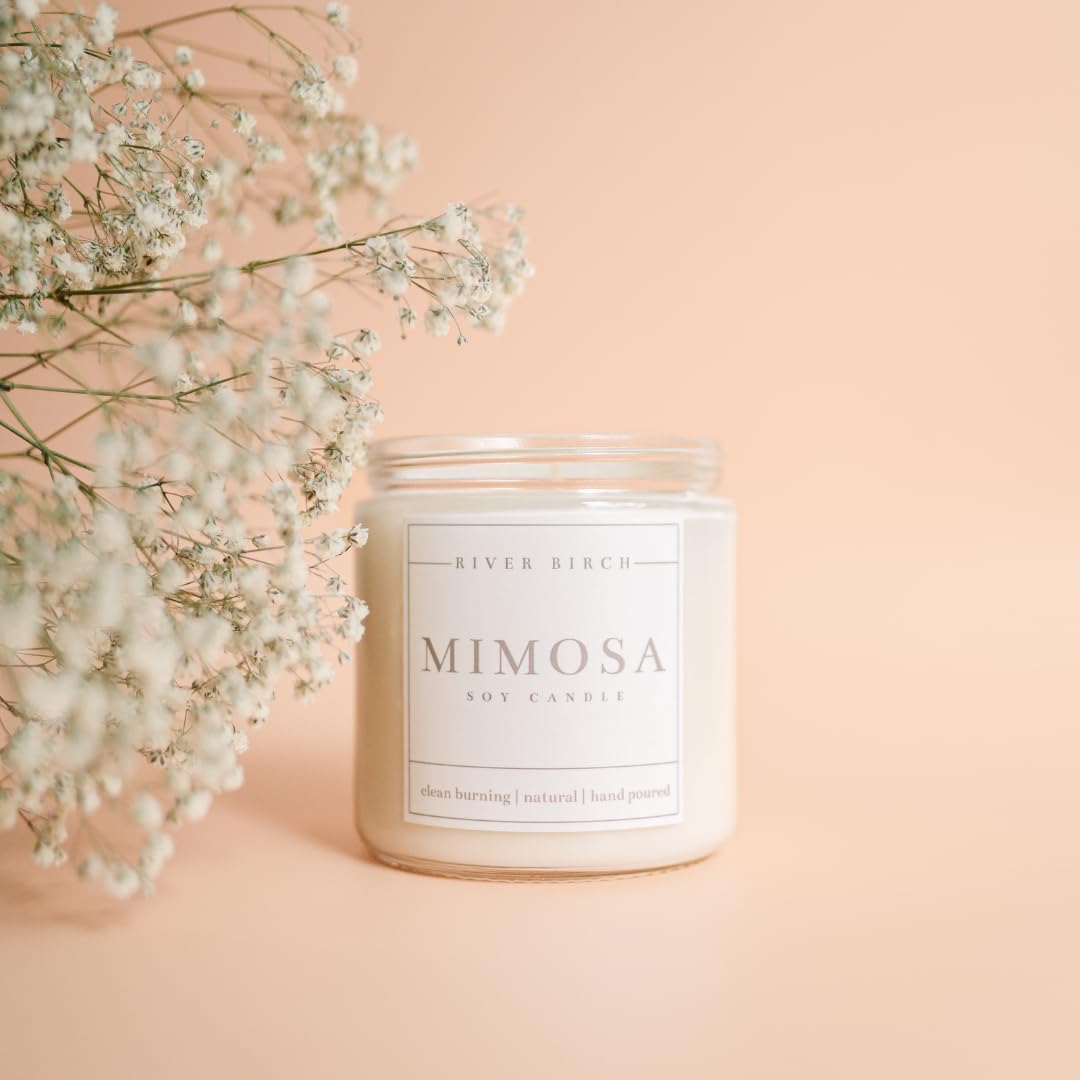 River Birch Candles Mimosa Scented Candle | Premium, All-Natural, Non-Toxic, Soy Candles | 16oz 90 Hr Burn Time | Cozy Relaxing Gifts for Home