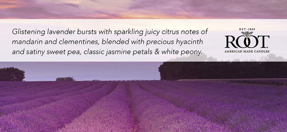 Root Candles Scented Candles Honeycomb Veriglass Premium Handcrafted Beeswax Blend Candle, Large, Lavender Vanilla