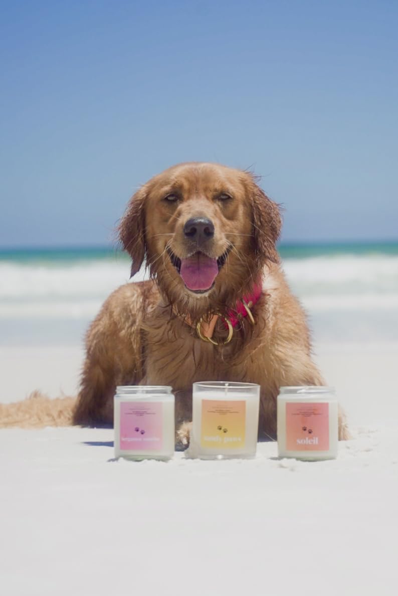 Pet Safe Candle for Dogs | Non Toxic Coconut Apricot Wax Candle | Clean Burning, Paraffin-Free | Pet Odor Eliminating Home Fragrance | Bergamot Sunrise | 4 oz