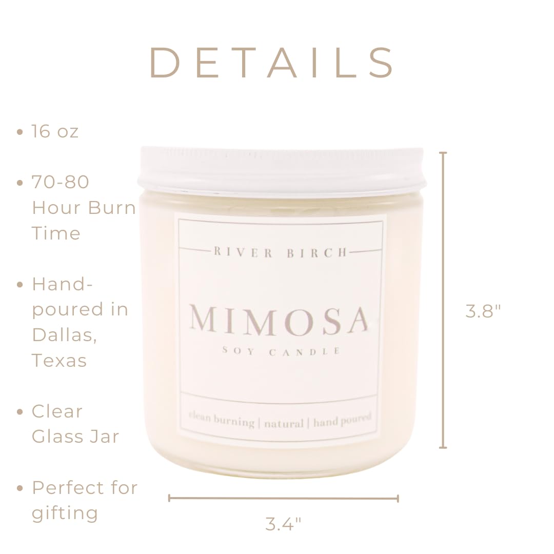 River Birch Candles Mimosa Scented Candle | Premium, All-Natural, Non-Toxic, Soy Candles | 16oz 90 Hr Burn Time | Cozy Relaxing Gifts for Home