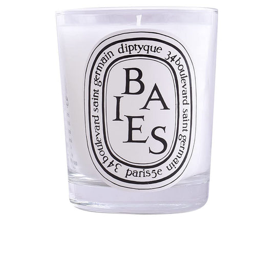 Diptyque Baies Candle-6.5 oz.