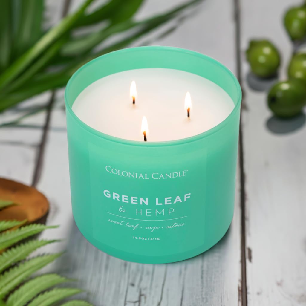 Colonial Candle Green Leaf & Hemp Scented Jar Candle, Pop of Color Collection, 3 Wick, Green, 14.5 oz - Up to 60 Hours Burn