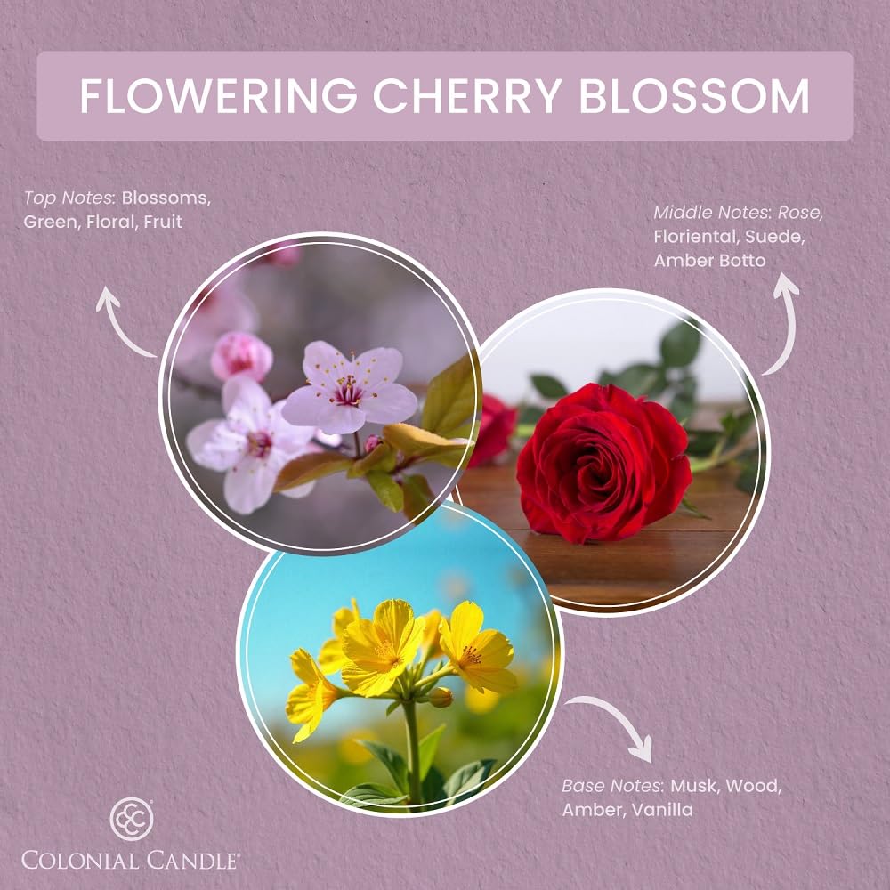 Colonial Candle Flowering Cherry Blossom Scented Wax Melts, Wax Melt Warmer Cubes, Long Lasting Scented Wax Warmer Cubes, 4 Pack, 6 Cubes Each - Made in The USA