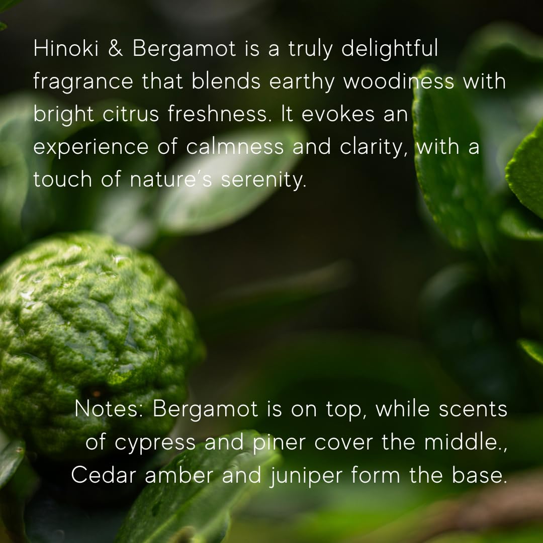 AME BOTANICA Hinoki & Bergamot Candle | Wood Wick Candles That Crackle | Valentine's Day, Mother's Day, Father's Day Gift | Luxury Scented Candle – Hand Poured in The USA