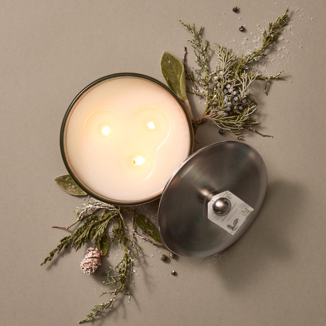 Thymes Highland Frost Large 3 Wick Candle - Scented Candles with Crisp Notes of Sage, Eucalyptus, & Cypress Needles - Luxury Home Fragrance Gifts for Women & Men - Sage-Green (18 oz)
