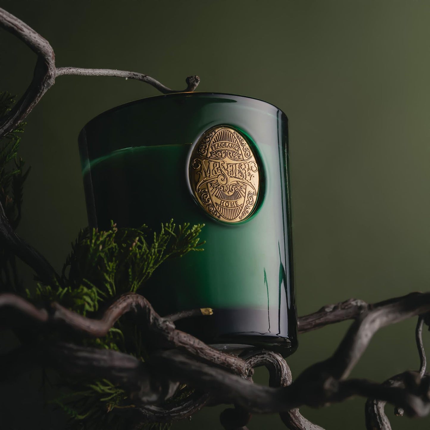 M&SENSE Natural Soy Candle | Eucalyptus Cedarwood& Emerald Green | 9.2 oz, 50H Burn Time | Luxury Scented Candle for Relaxation, Gifting, Home Décor | Ideal for Bedroom, Office, Party Ambiance