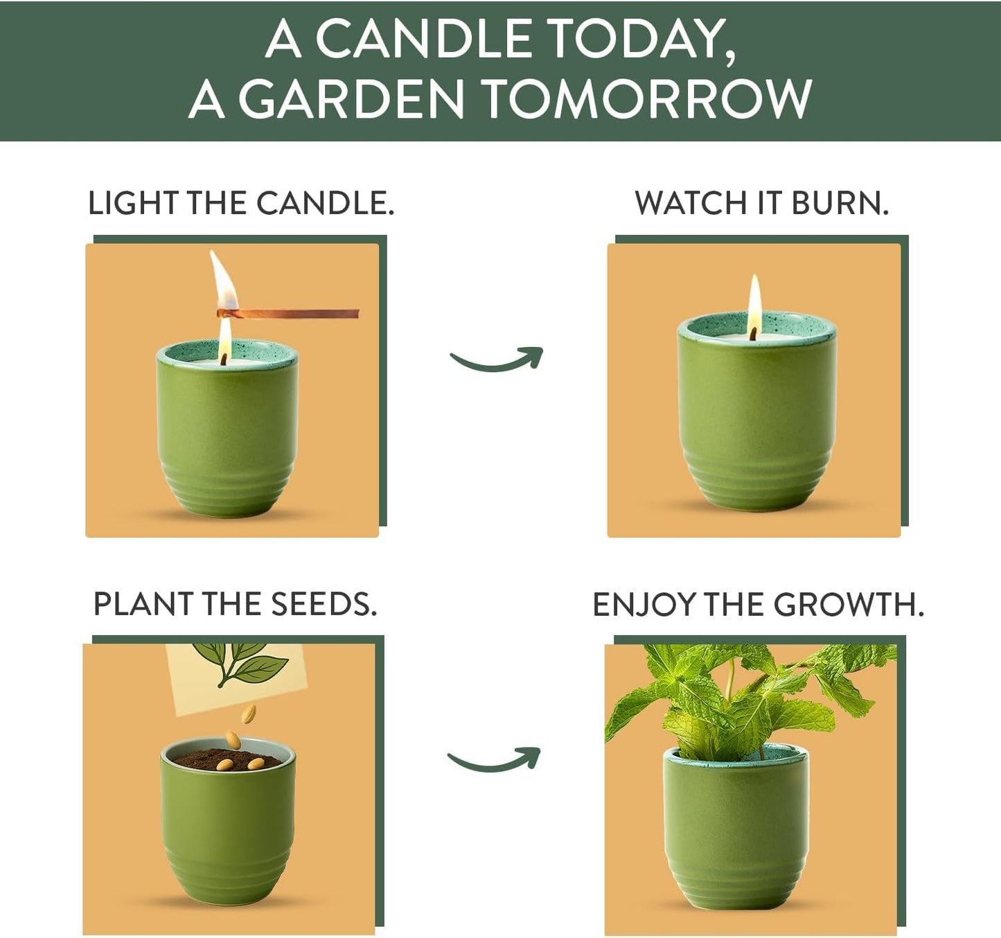 Modern Sprout - 2-in-1 Soy Candle & Planter - 3-Pack Indoor Set (Violet Hour, in The Weeds, Golden Moments) 6 Oz Scented Candles with Lavender, Sage & Mint Seeds – 38–40 Hr Burn Each