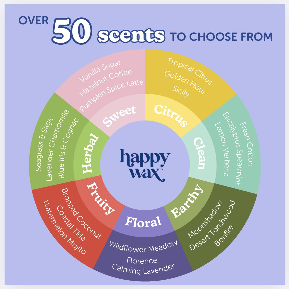 Happy Wax Winter Outdoors Mix Scented Natural, Non Toxic Soy Wax Melts; 6 Total Oz. of Holiday Scented Wax Melts, Collection Includes Flannel & Cashmere, Pine Forest and Winterberry