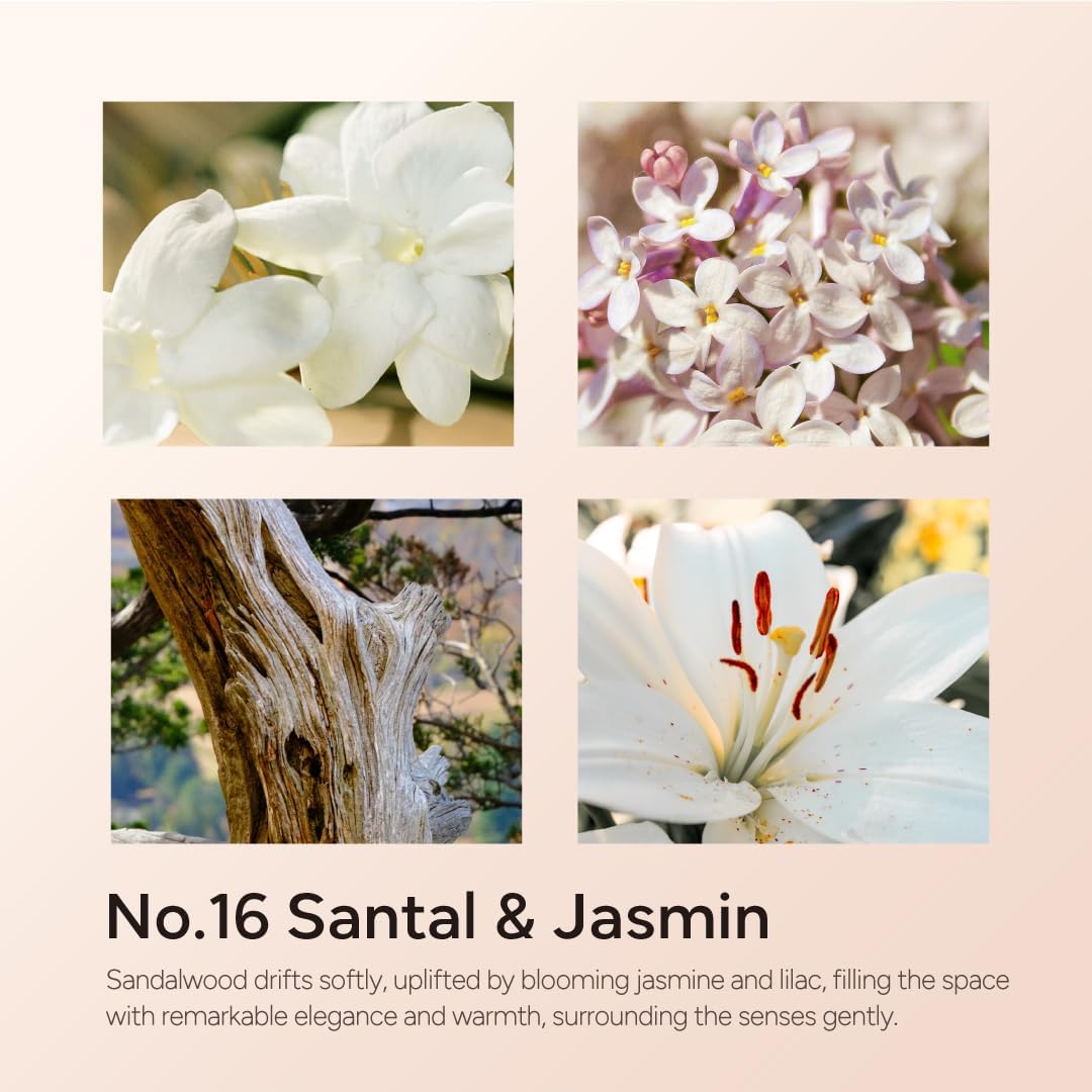 Santal & Jasmine Luxury Scented Candles, 9oz Soy Wax Candles for Home Scented, Jasmine, Sandalwood, Lilac Scent, Long Burning Time, Gifts for Women, Friends, Men, Sister, Teacher, Housewarming