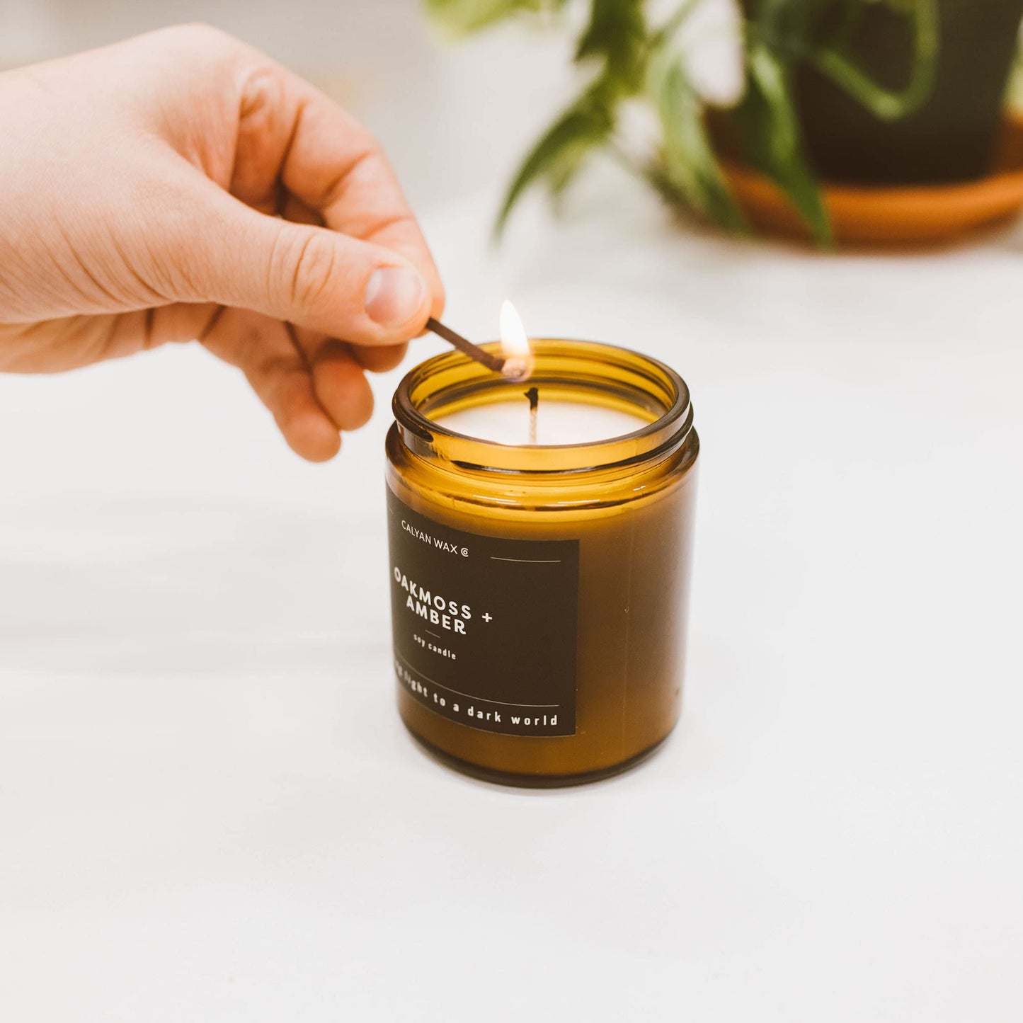 Calyan Wax Co. Desert & Agave Scented Candle - 57 Hour Burn - Luxury Clean Soy Wax Candles - Long Lasting Amber Glass Jar Candle for Home - 7.2oz