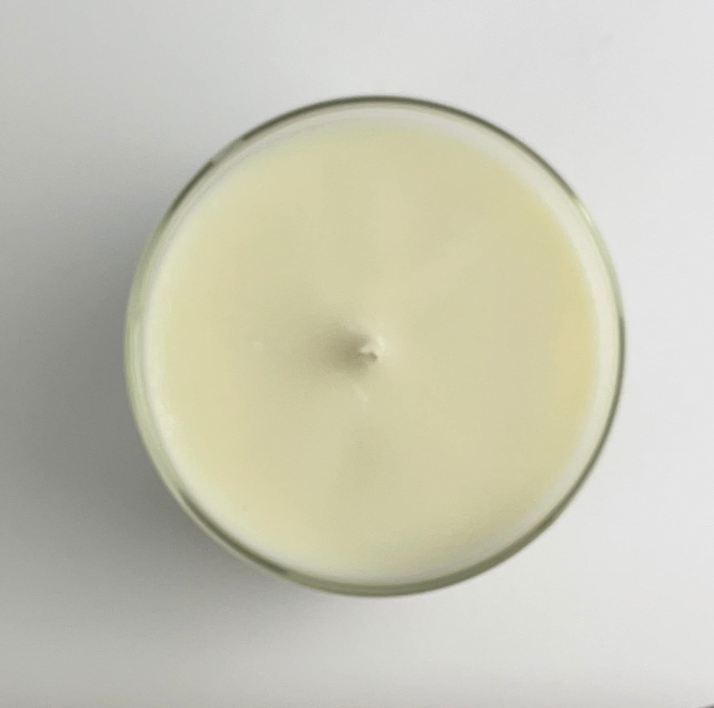 Baja Cactus Blossom Candle | Scented Soy Candle for Home| 7.5 oz, 45 Hour Burn Time, Made in The USA