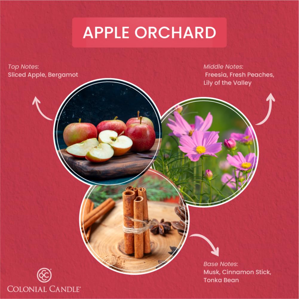 Colonial Candle Apple Orchard Scented Jar Candle, 2 Wick, 3.5 oz, Mottled Wax Candle (Pack of 2)